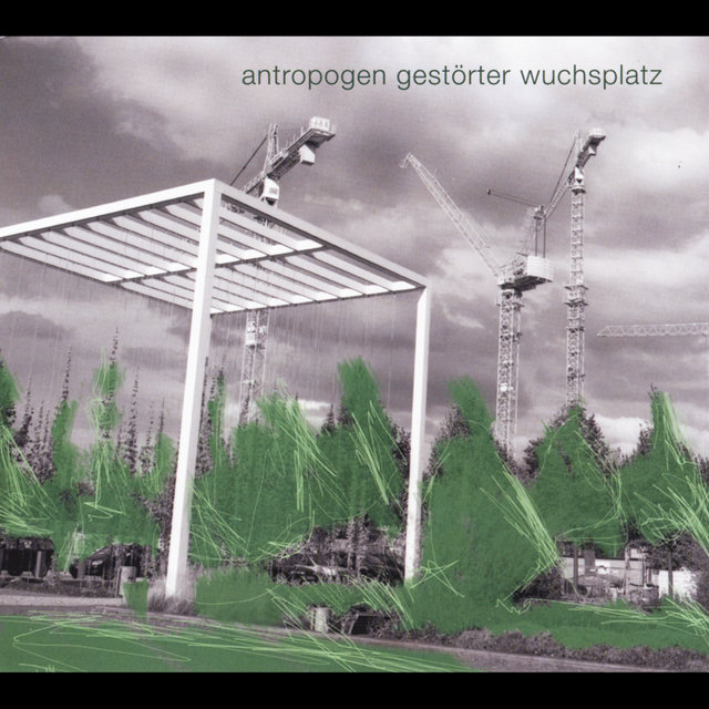 Anthropogen Gestörter Wuchsplatz