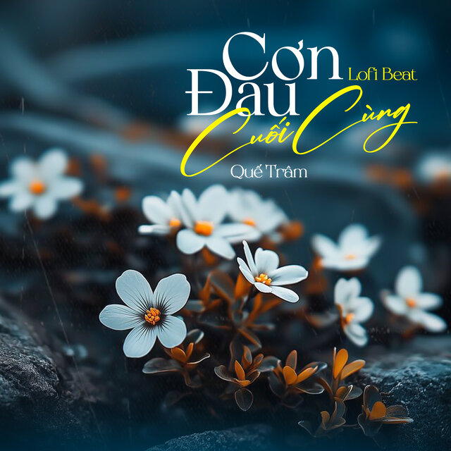 Cơn Đau Cuối Cùng (Beat) [Lofi Mix]