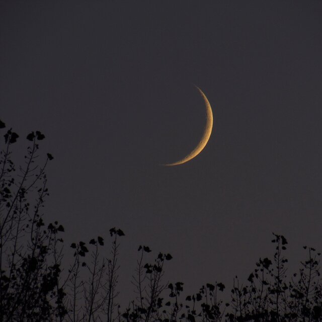 Spirit of the Night