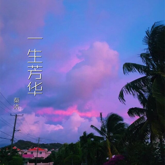 一生芳华