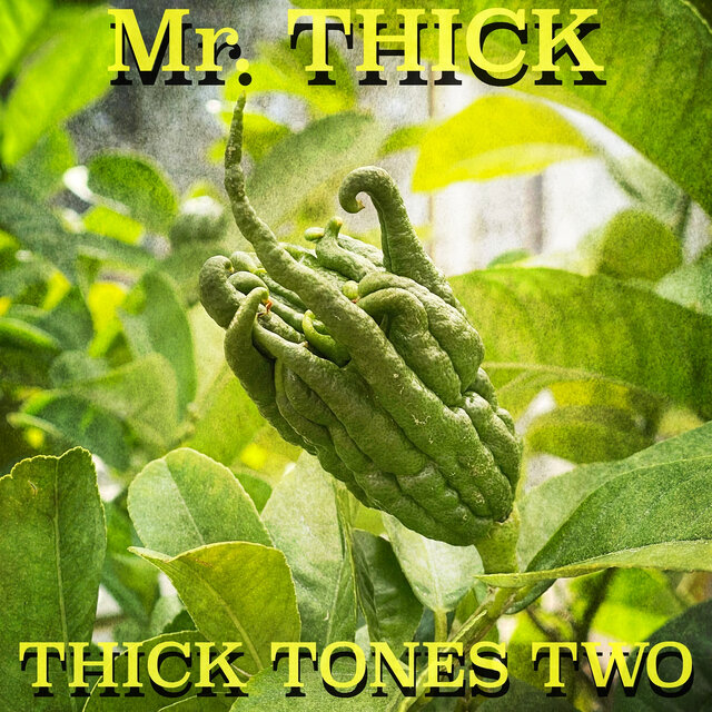Thick Tones Two