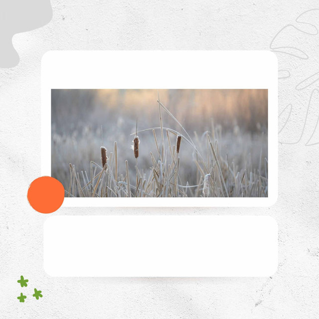 Delightful Music for Enjoying Nature - Jazz Ballad