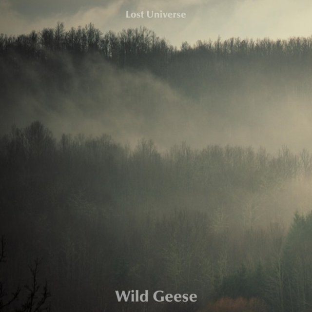 Wild Geese