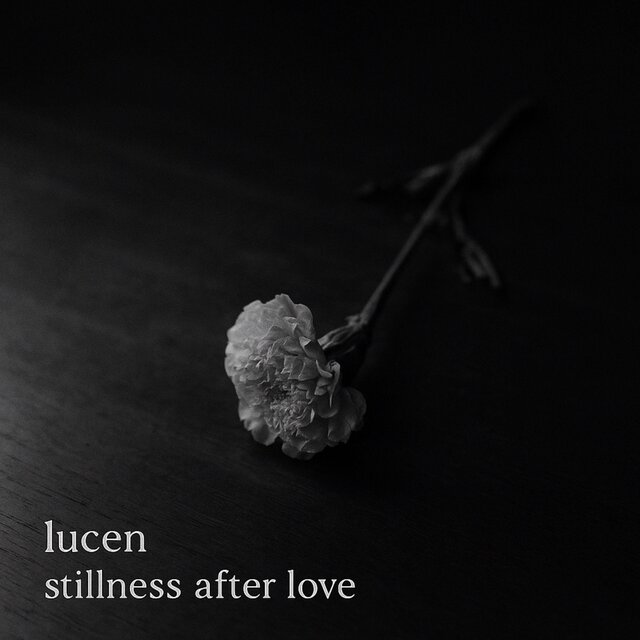 Stillness After Love