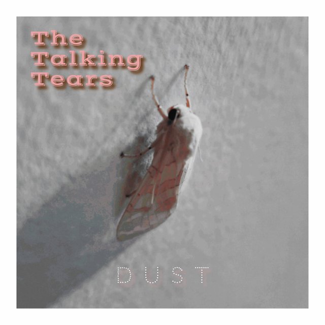 Dust