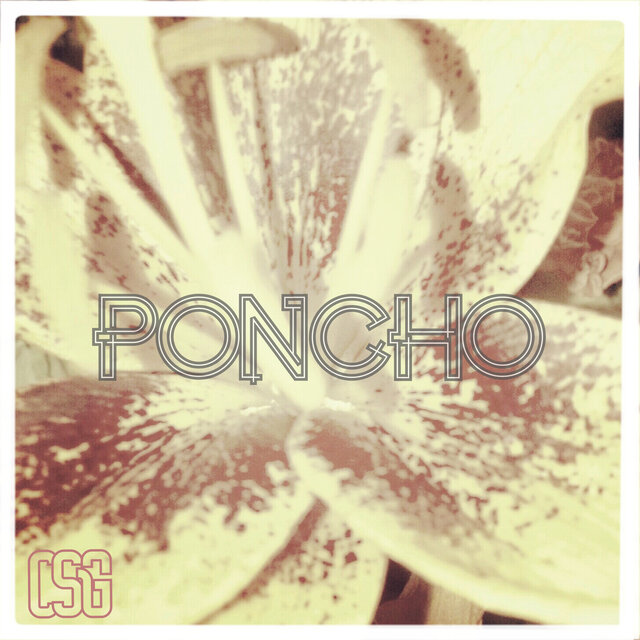 Poncho