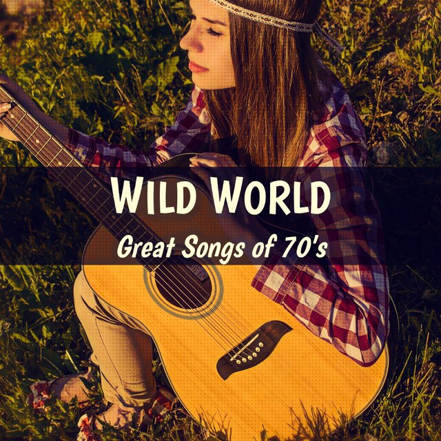 Wild World: Great Songs of 70's