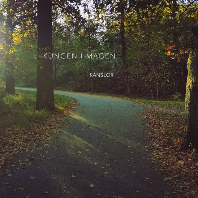 Känslor