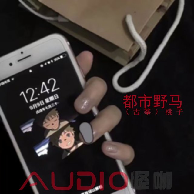 都市野马 (古筝)