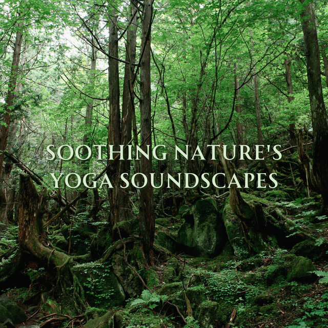 Soothing Nature's Yoga Soundscapes
