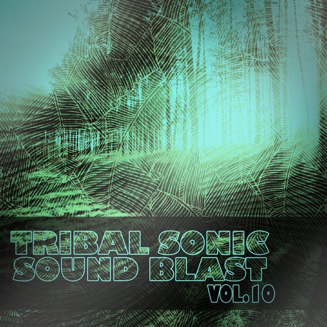 Tribal Sonic Soundblast,Vol.10