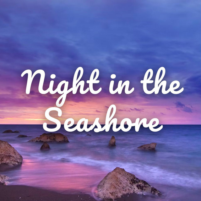 Night in the Seashore