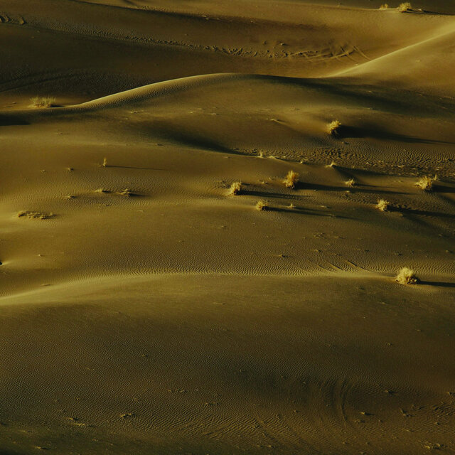 Desert