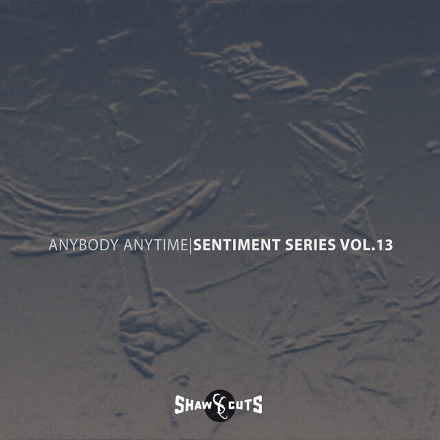 Sentiment Series Vol.13