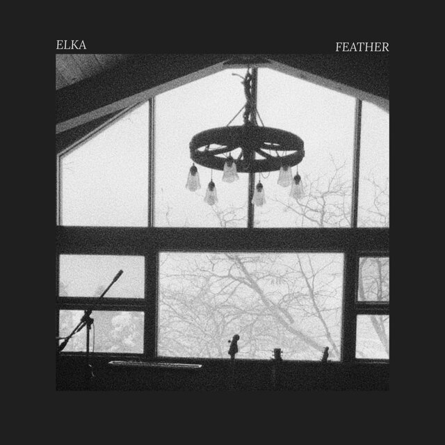 Feather