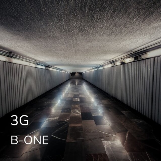 3G