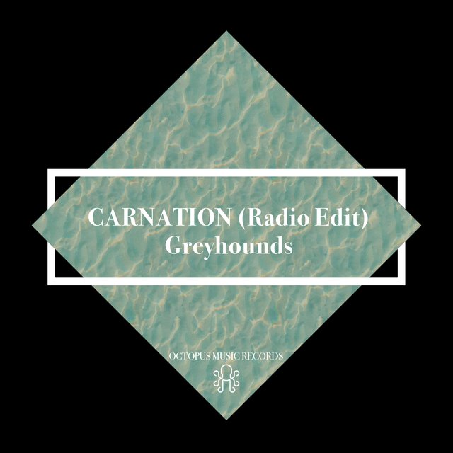 Carnation