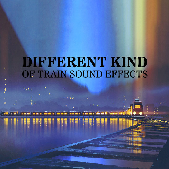 Different Kind of Train Sound Effects (Train Sounds on Track a Rainy Night)