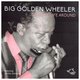 Cover art for album Big Golden Wheeler - Turn My Life Around by Big Golden Wheeler