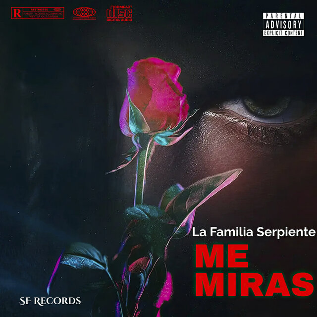 Me Miras