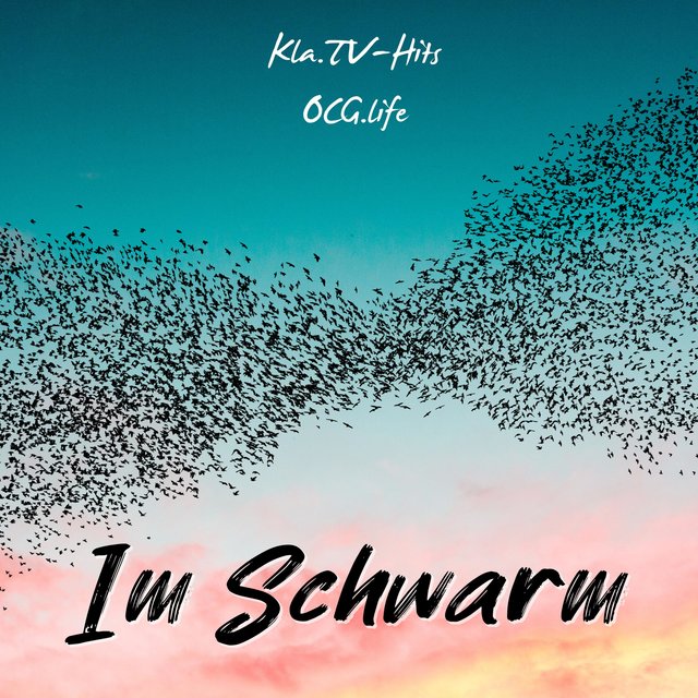 Im Schwarm