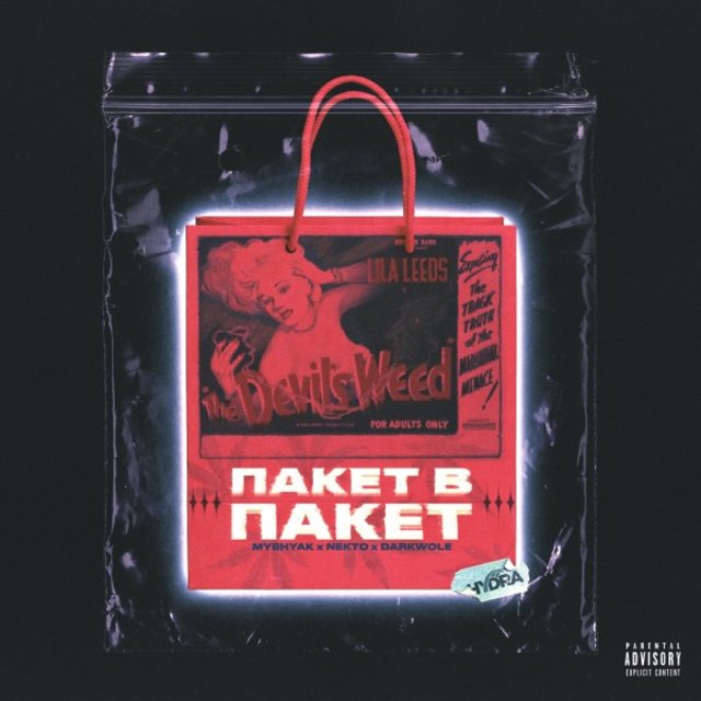 Пакет в пакет