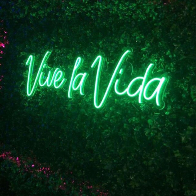 VIVE LA VIDA