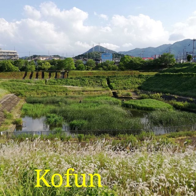 Kofun