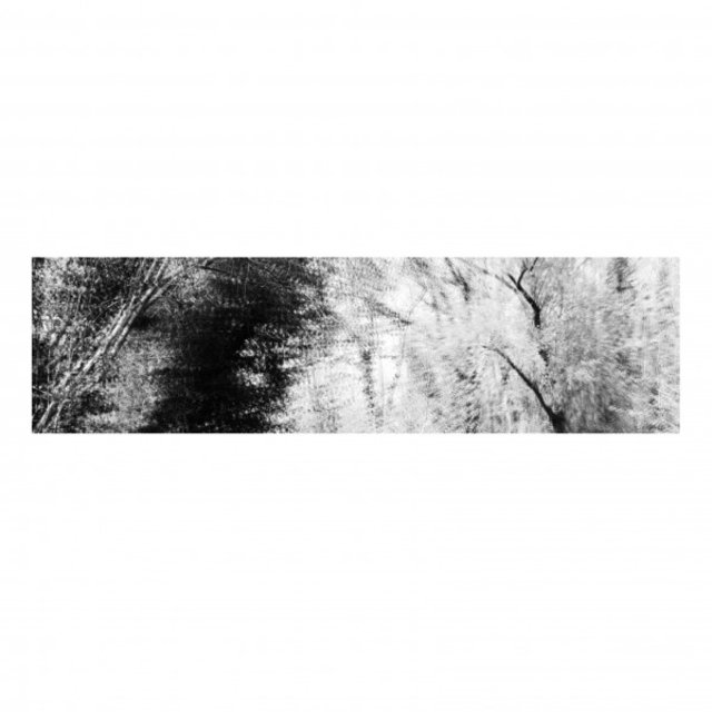 Thought Recordings