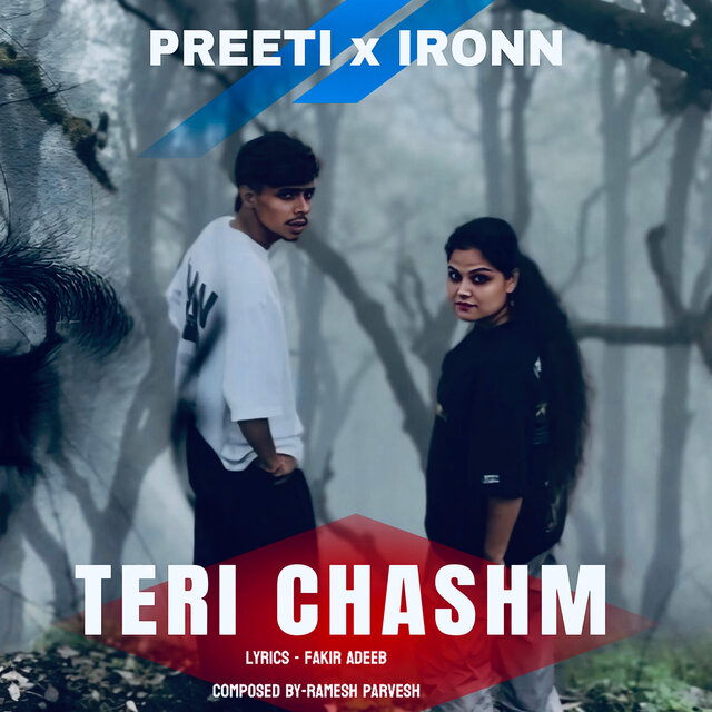 Teri Chashm
