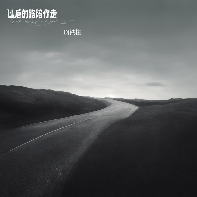 以后的路陪你走 (Dj铁柱版)