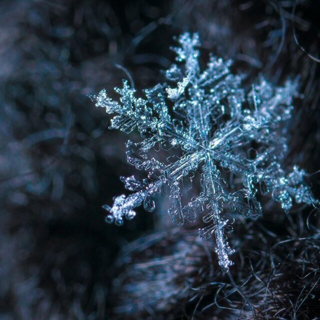 Freezing