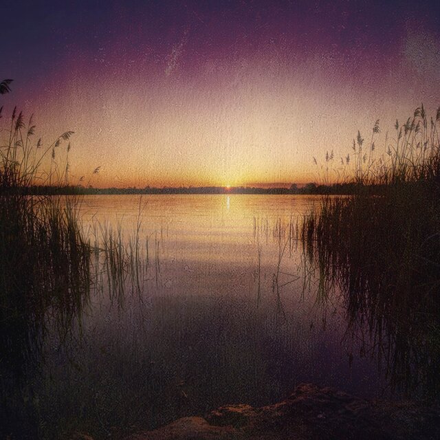 New Beginning