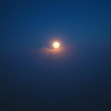 Under The Moonlight