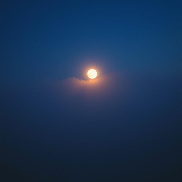 Under The Moonlight