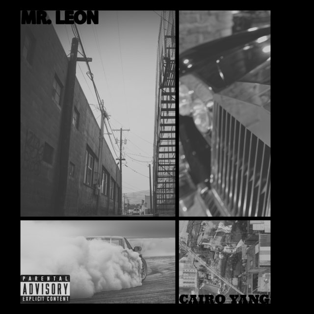 Mr Leone