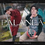 Palanea