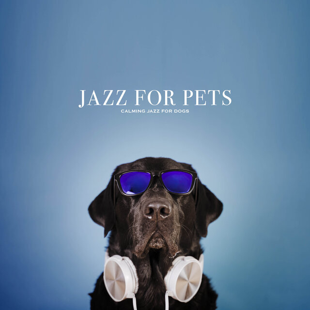 Jazz for Pets