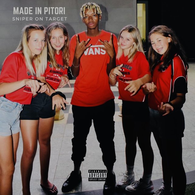 Made In Pitori