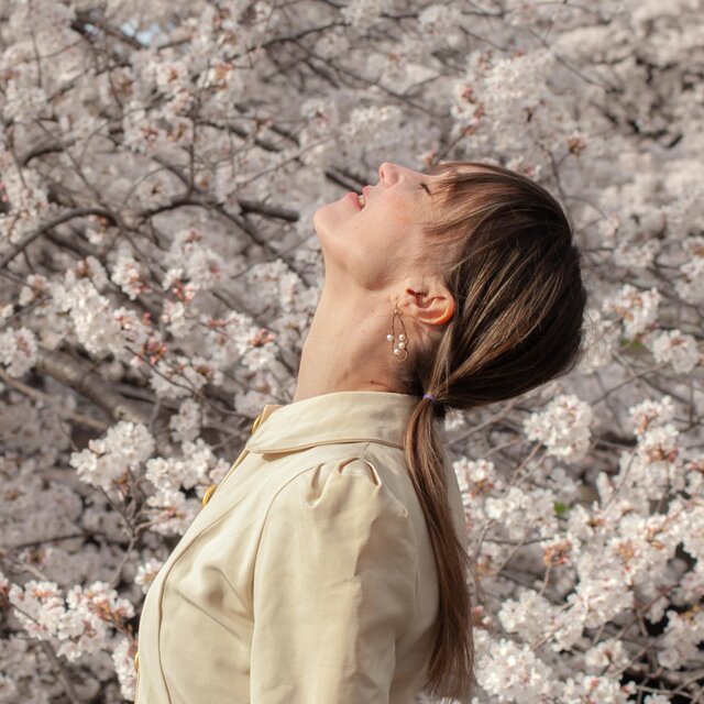 Spring Songs On The Fly