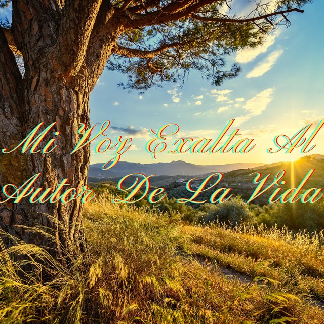 Mi Voz Exalta Al Autor De La Vida
