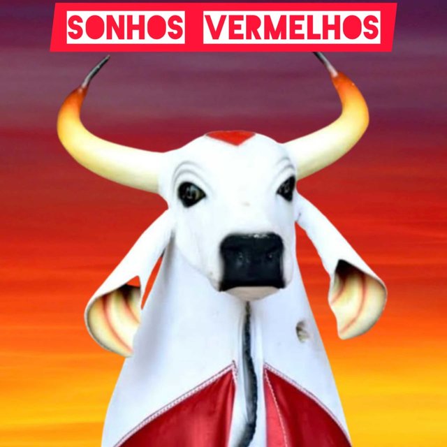Sonhos Vermelhos