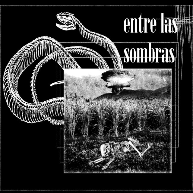 Entre las Sombras