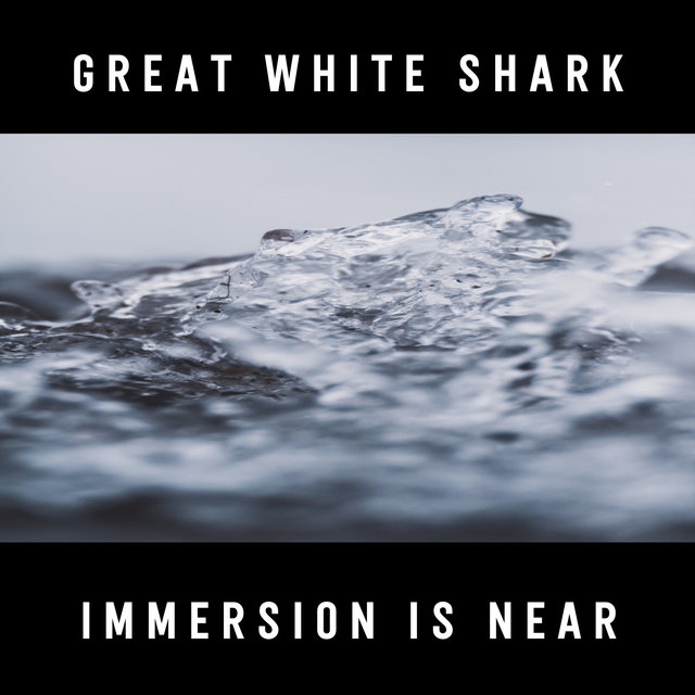 Immersion is Near