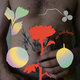 Cover art for album My Frail Body by Gundelach