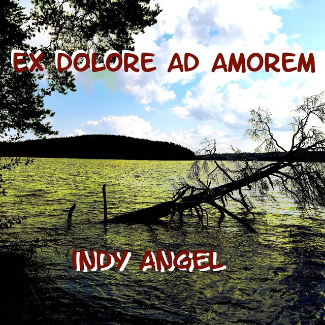 Ex Dolore Ad Amorem