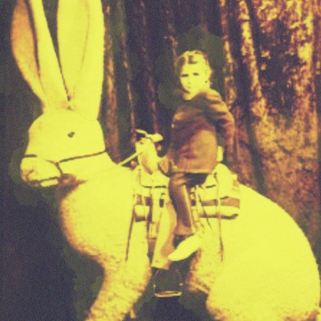 Bye-Bye Bunny