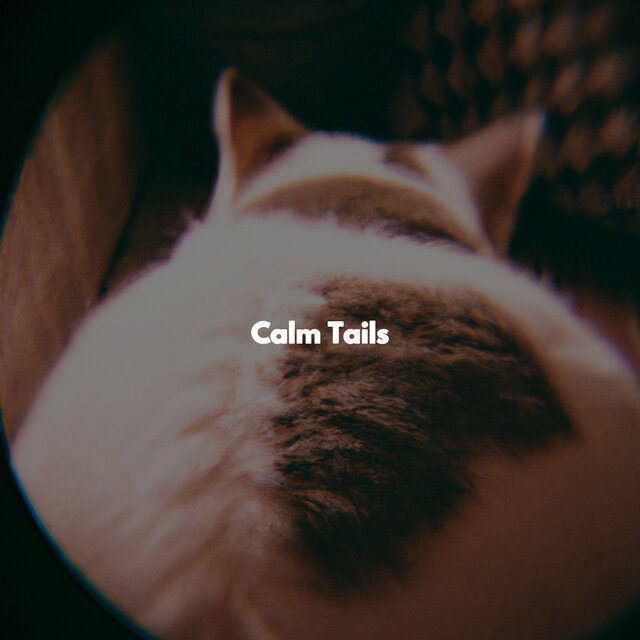 Calm Tails