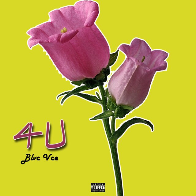 4u