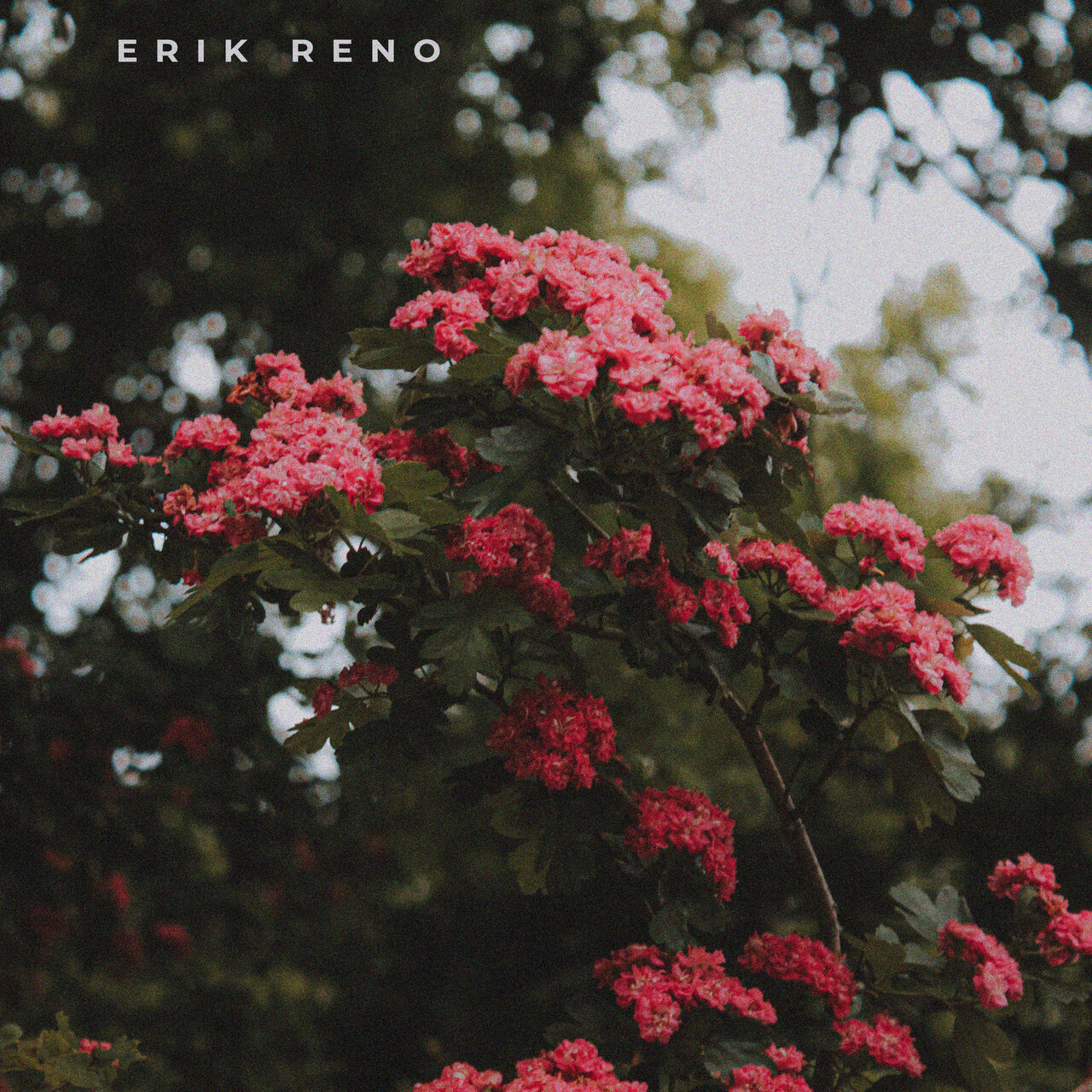 Erik Reno Erik Reno on TIDAL